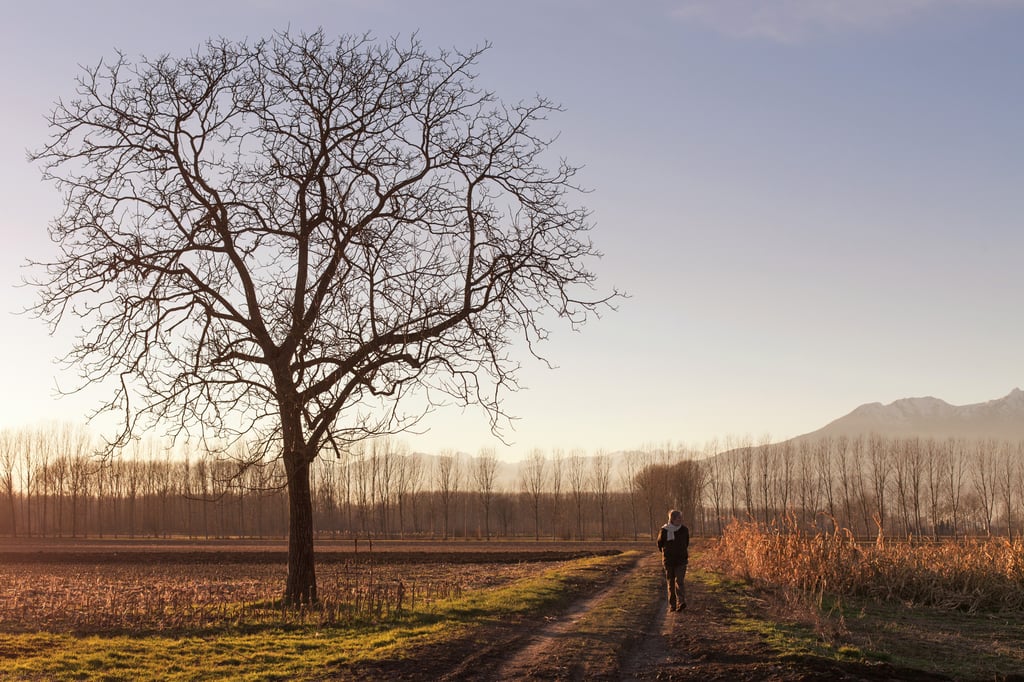 Person-Walking-Down-A-Dirt-Road.jpg